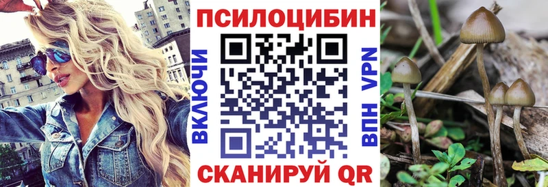 где продают наркотики Королёв Галлюциногенные грибы мухоморы